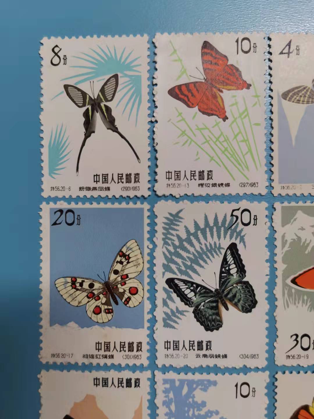 dvubb 图片点击可在新窗口打开查看