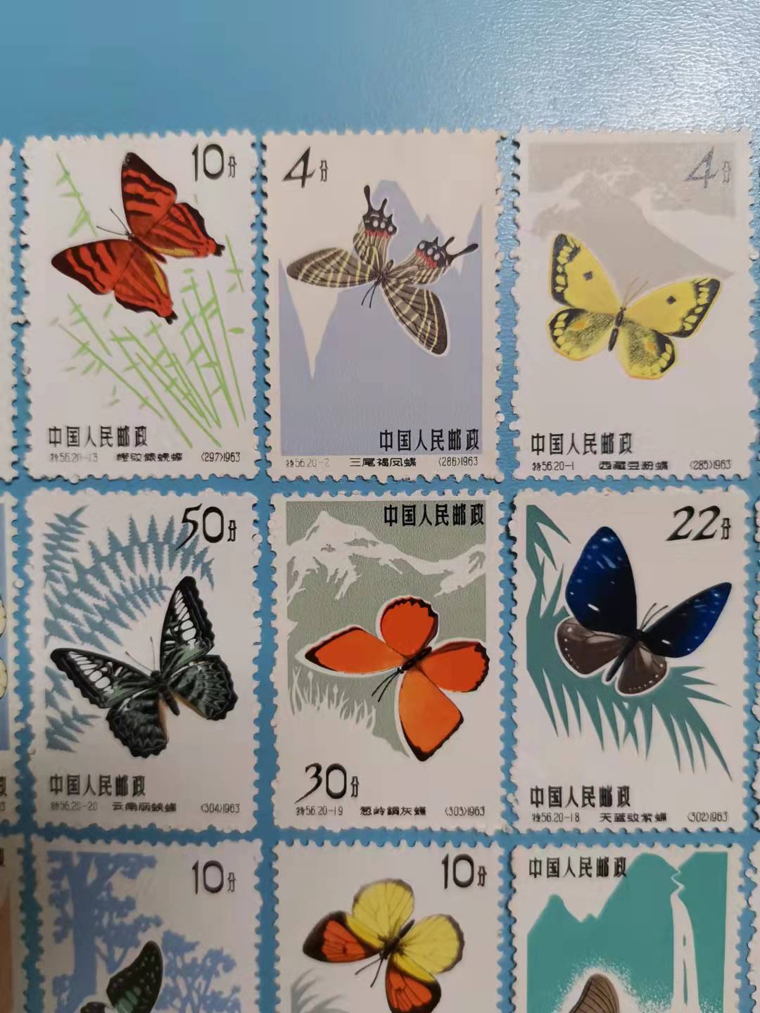 dvubb 图片点击可在新窗口打开查看