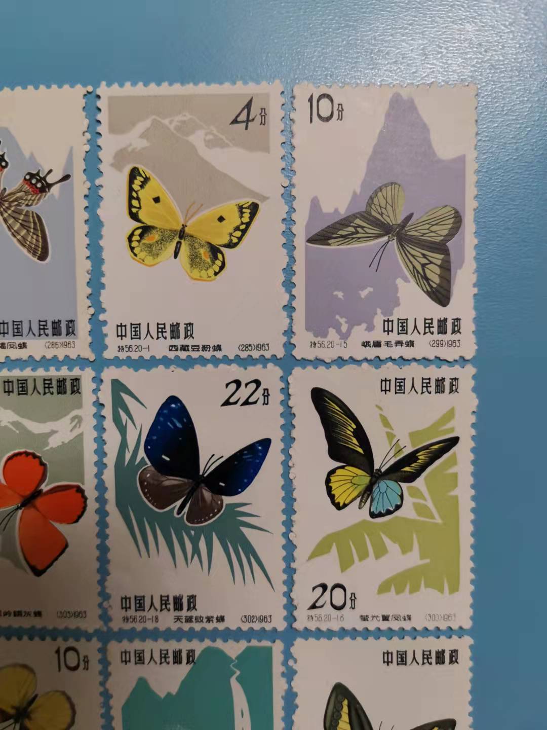 dvubb 图片点击可在新窗口打开查看