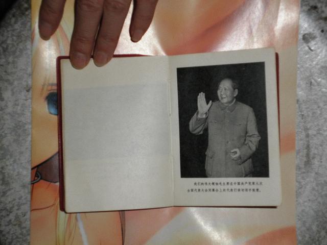 dvubb 图片点击可在新窗口打开查看