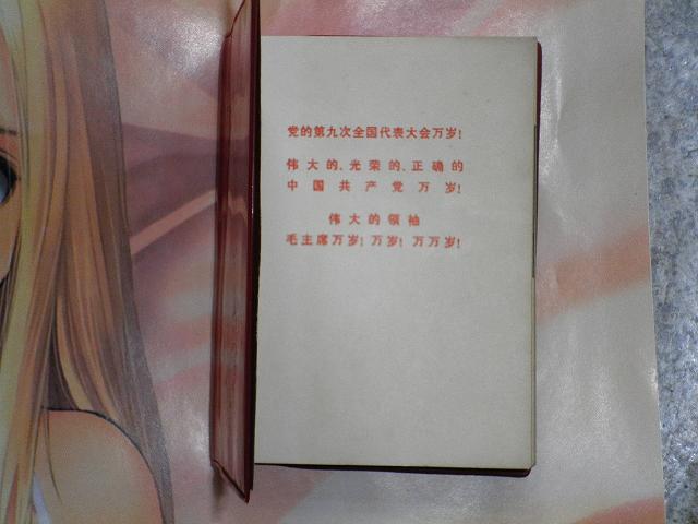 dvubb 图片点击可在新窗口打开查看