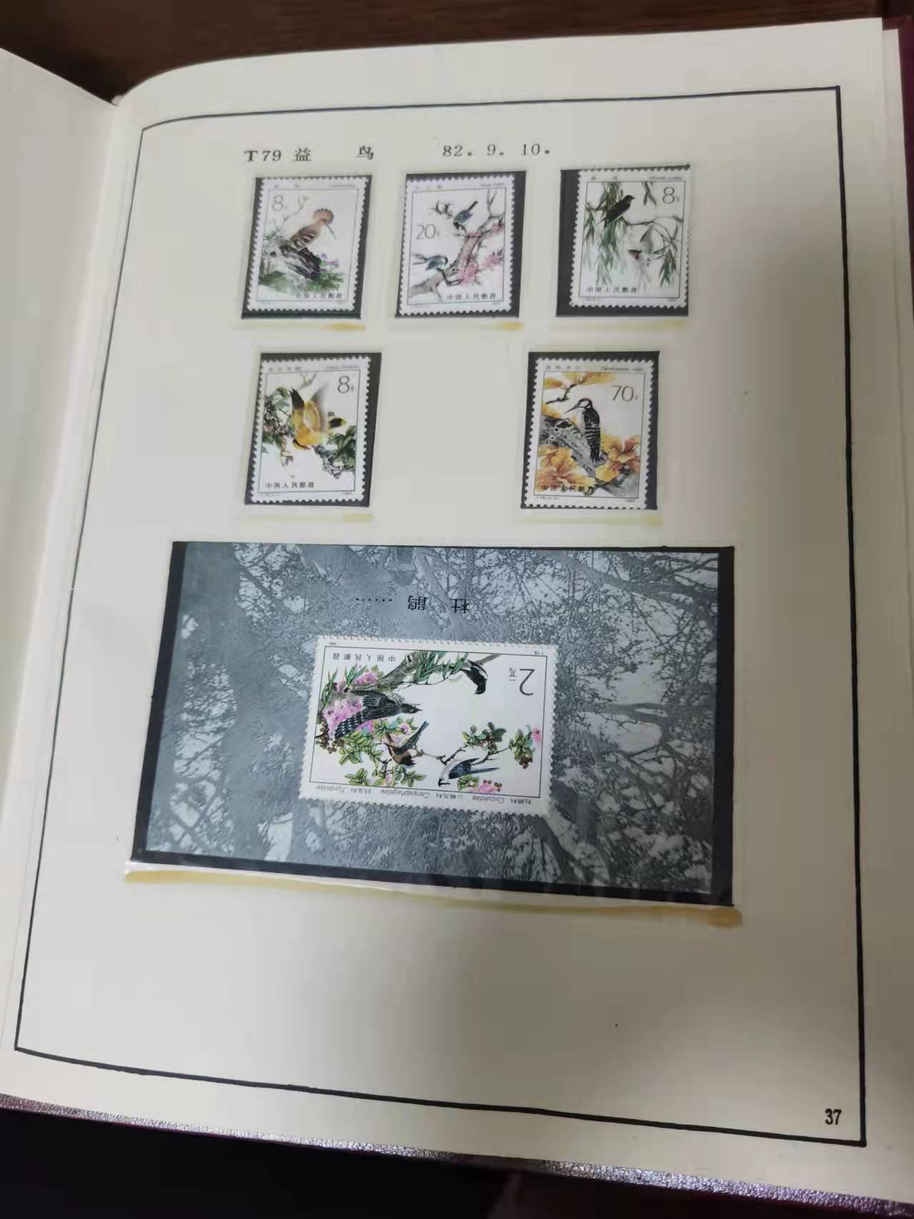 dvubb 图片点击可在新窗口打开查看