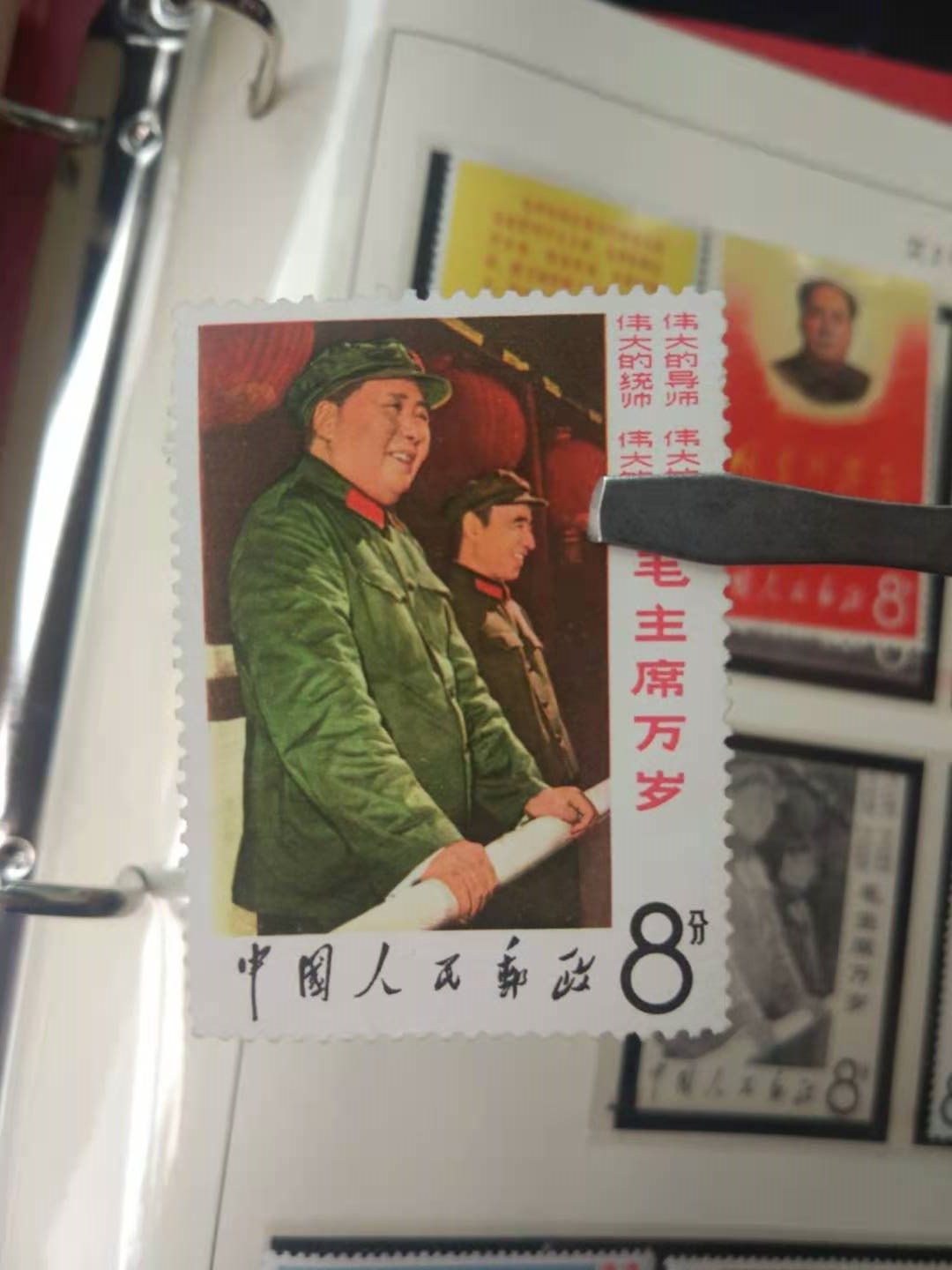 dvubb 图片点击可在新窗口打开查看