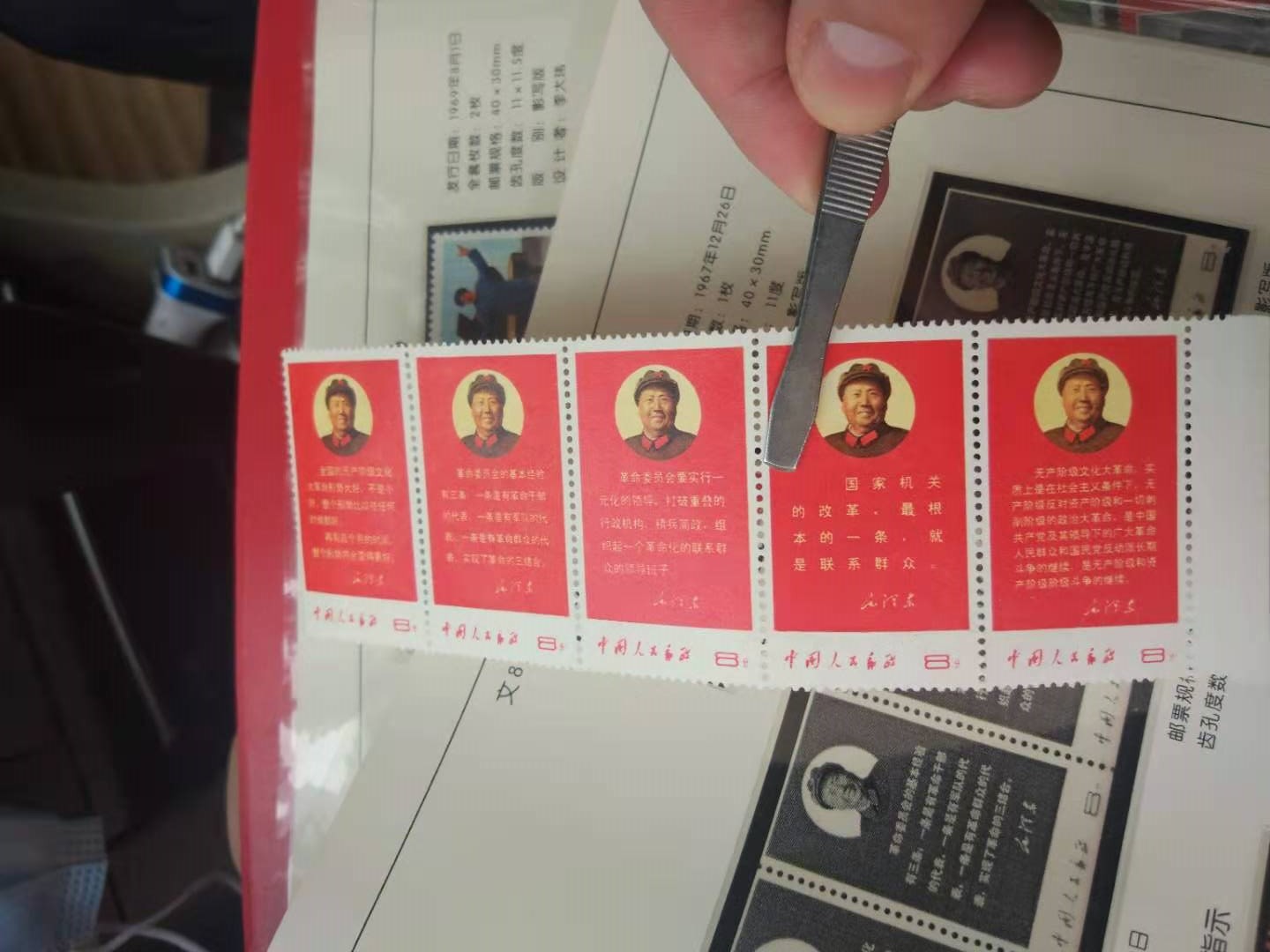dvubb 图片点击可在新窗口打开查看