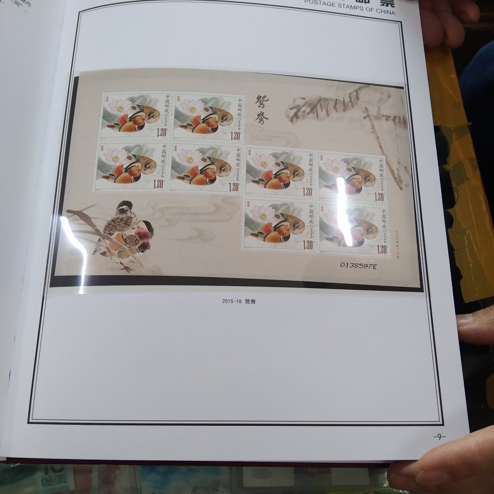 dvubb 图片点击可在新窗口打开查看