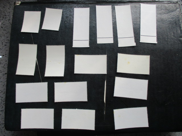 dvubb 图片点击可在新窗口打开查看