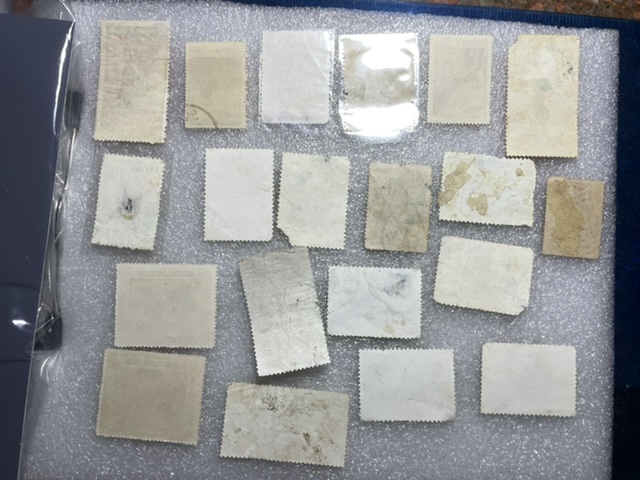 dvubb 图片点击可在新窗口打开查看