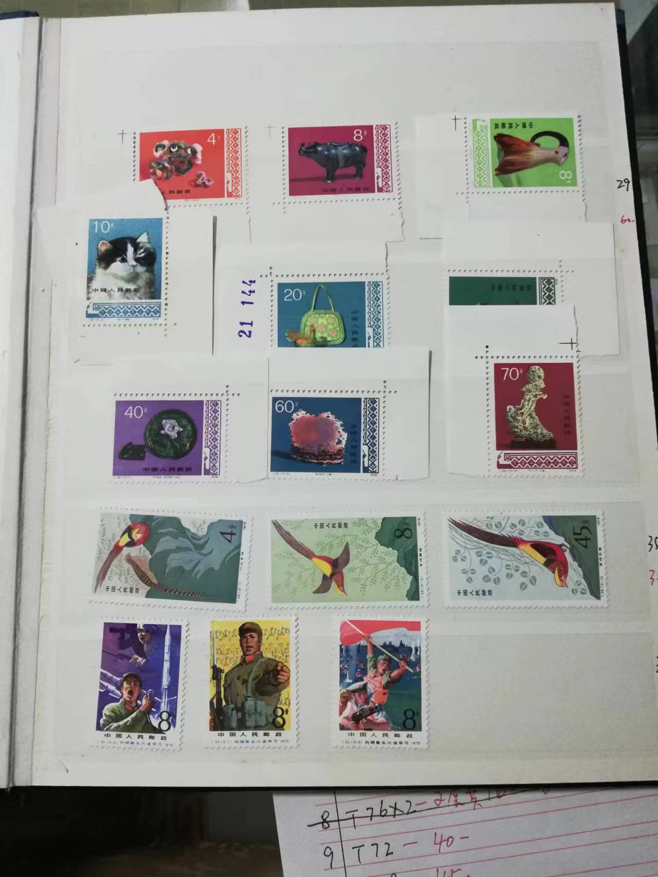 dvubb 图片点击可在新窗口打开查看