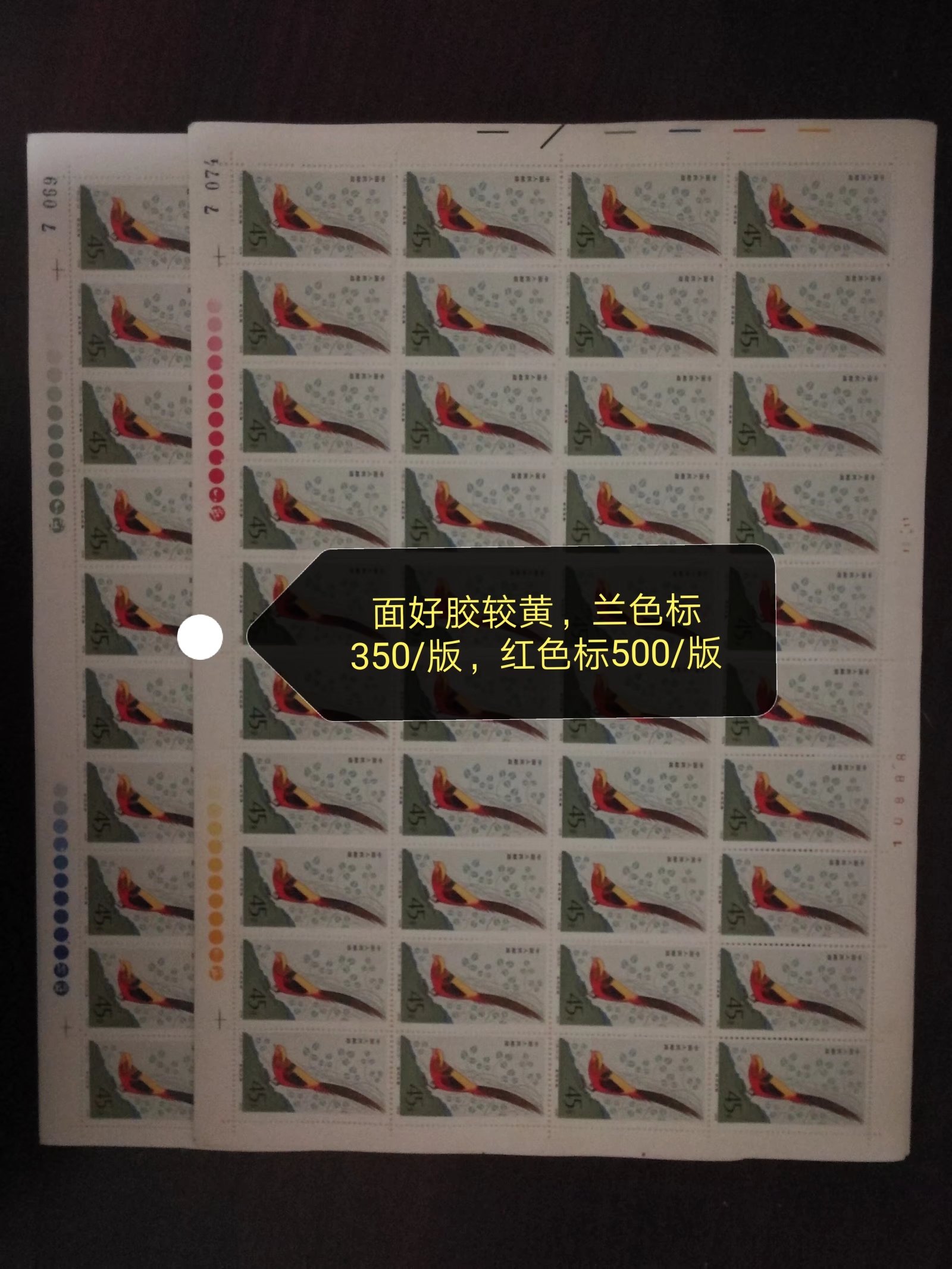 dvubb 图片点击可在新窗口打开查看