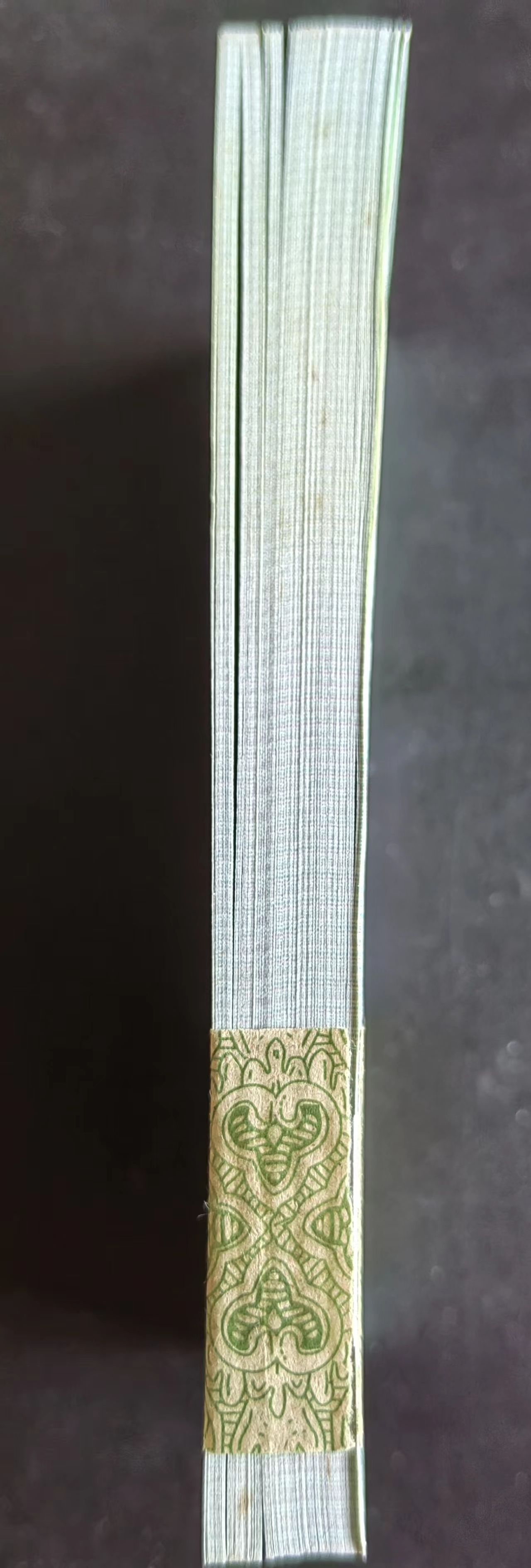 dvubb 图片点击可在新窗口打开查看