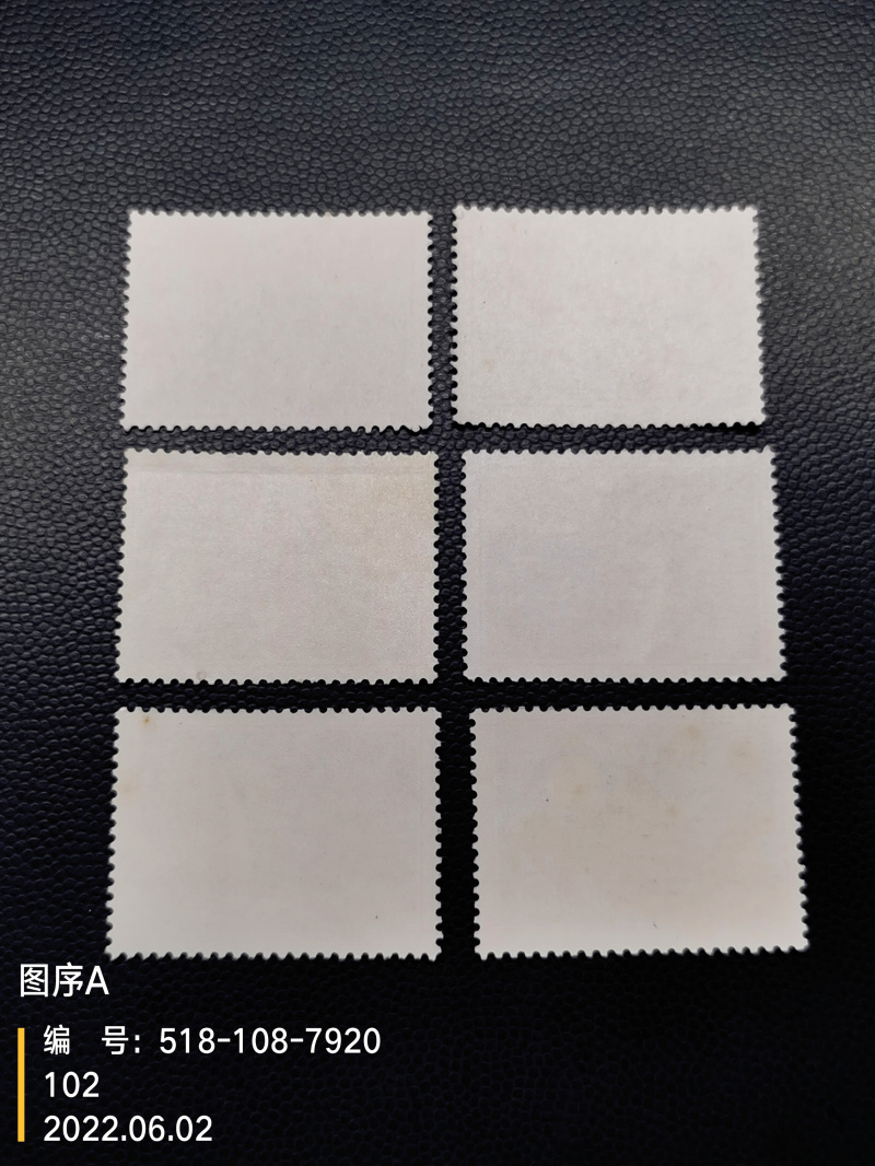 dvubb 图片点击可在新窗口打开查看