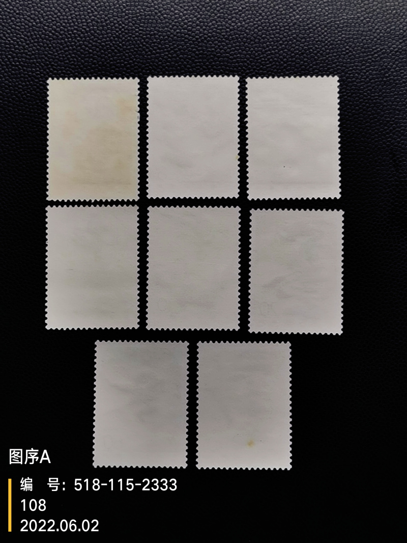 dvubb 图片点击可在新窗口打开查看