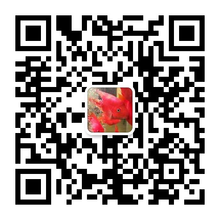 dvubb 图片点击可在新窗口打开查看