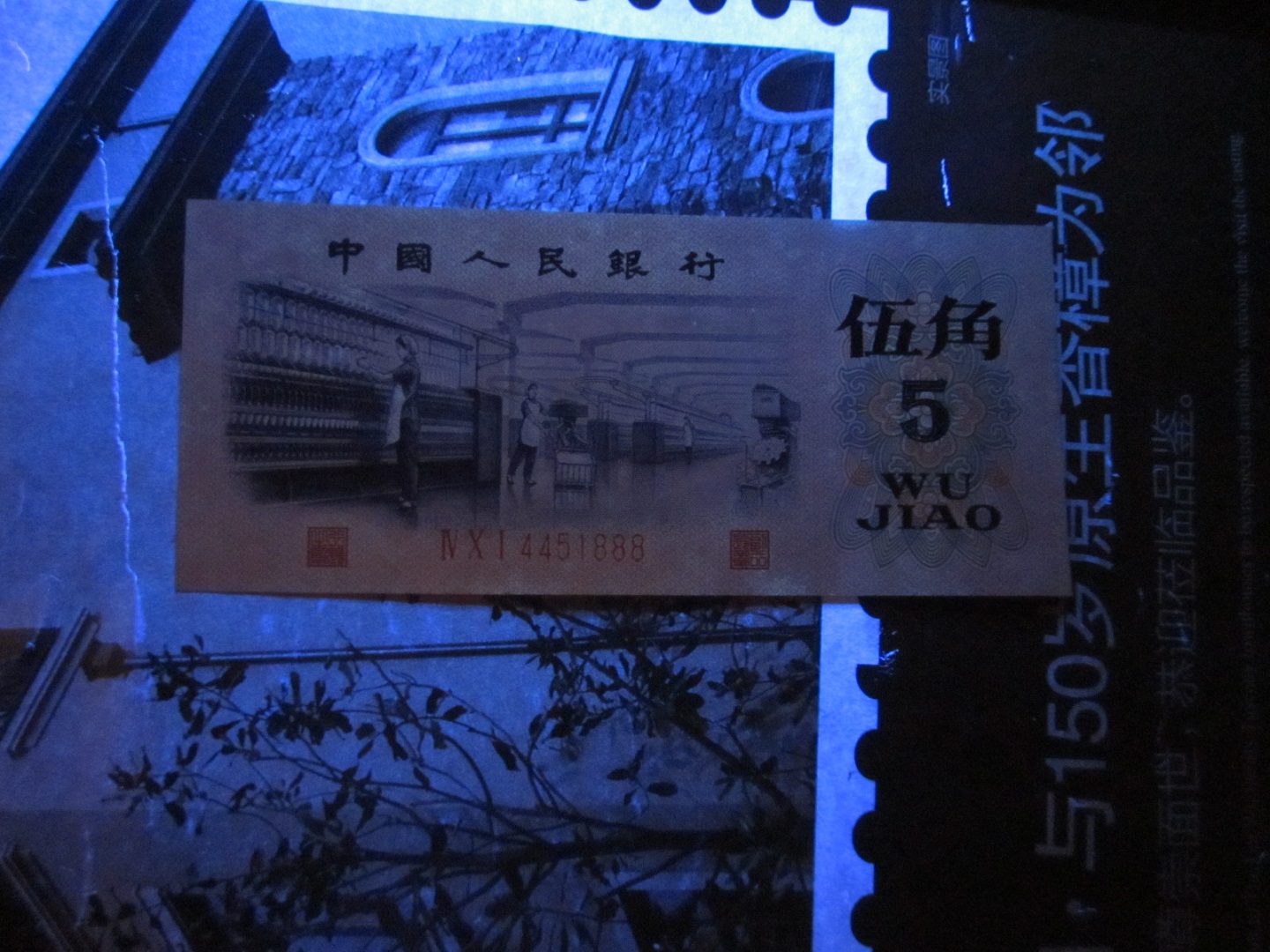 dvubb 图片点击可在新窗口打开查看