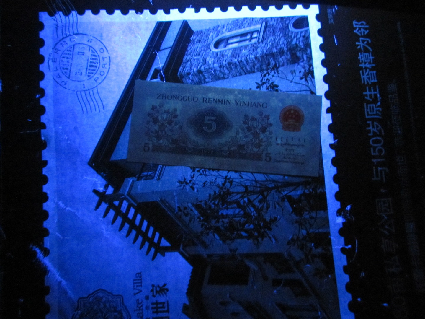 dvubb 图片点击可在新窗口打开查看