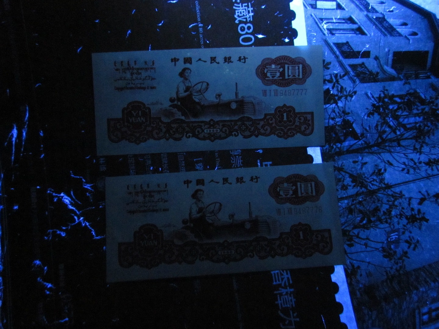 dvubb 图片点击可在新窗口打开查看