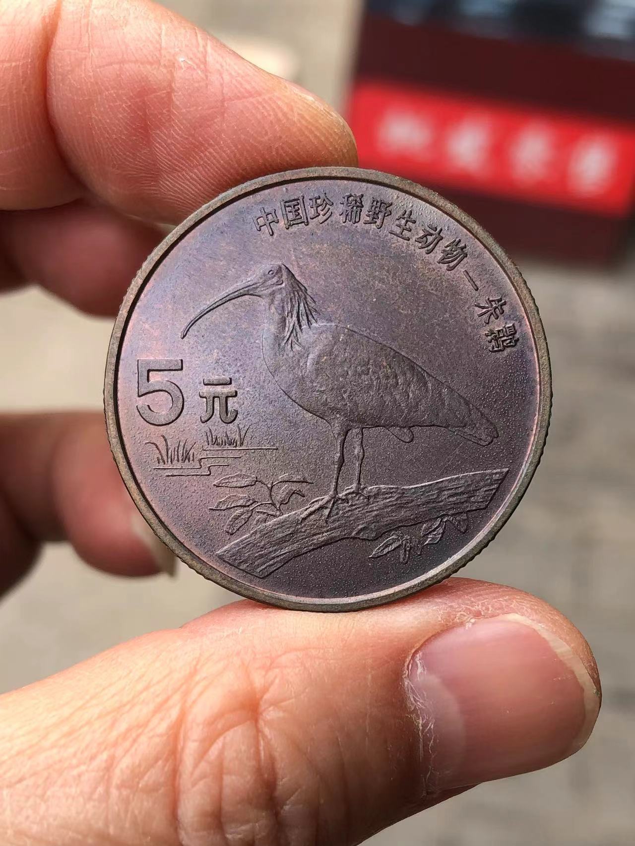 dvubb 图片点击可在新窗口打开查看