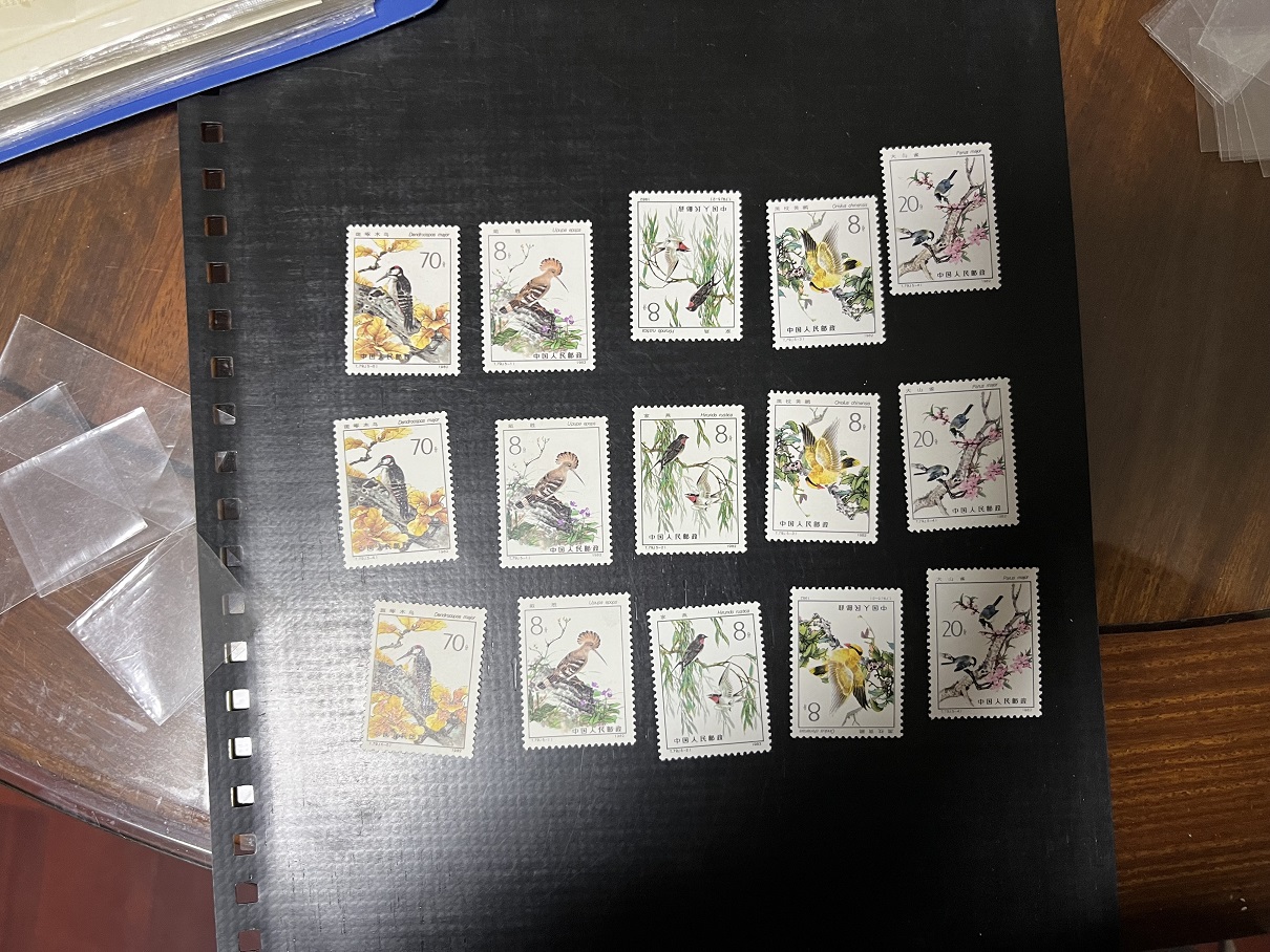 dvubb 图片点击可在新窗口打开查看