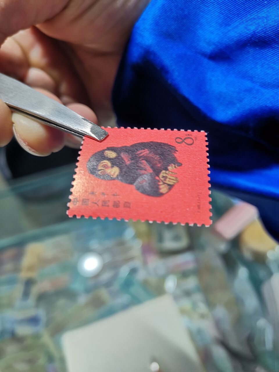 dvubb 图片点击可在新窗口打开查看
