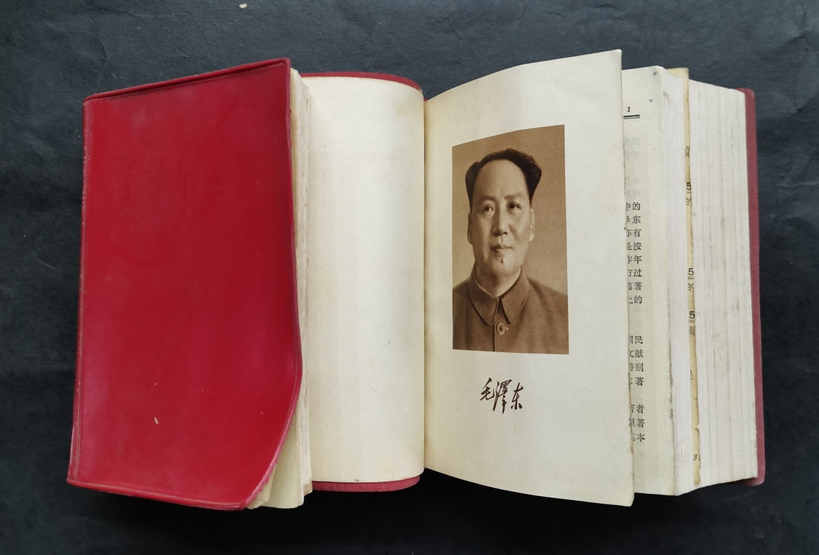 dvubb 图片点击可在新窗口打开查看
