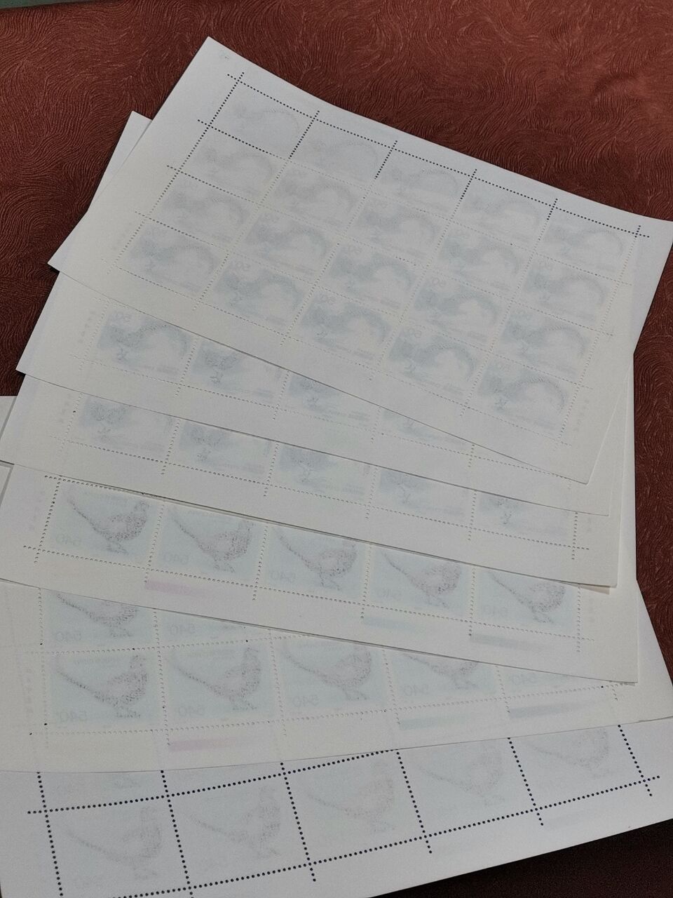 dvubb 图片点击可在新窗口打开查看