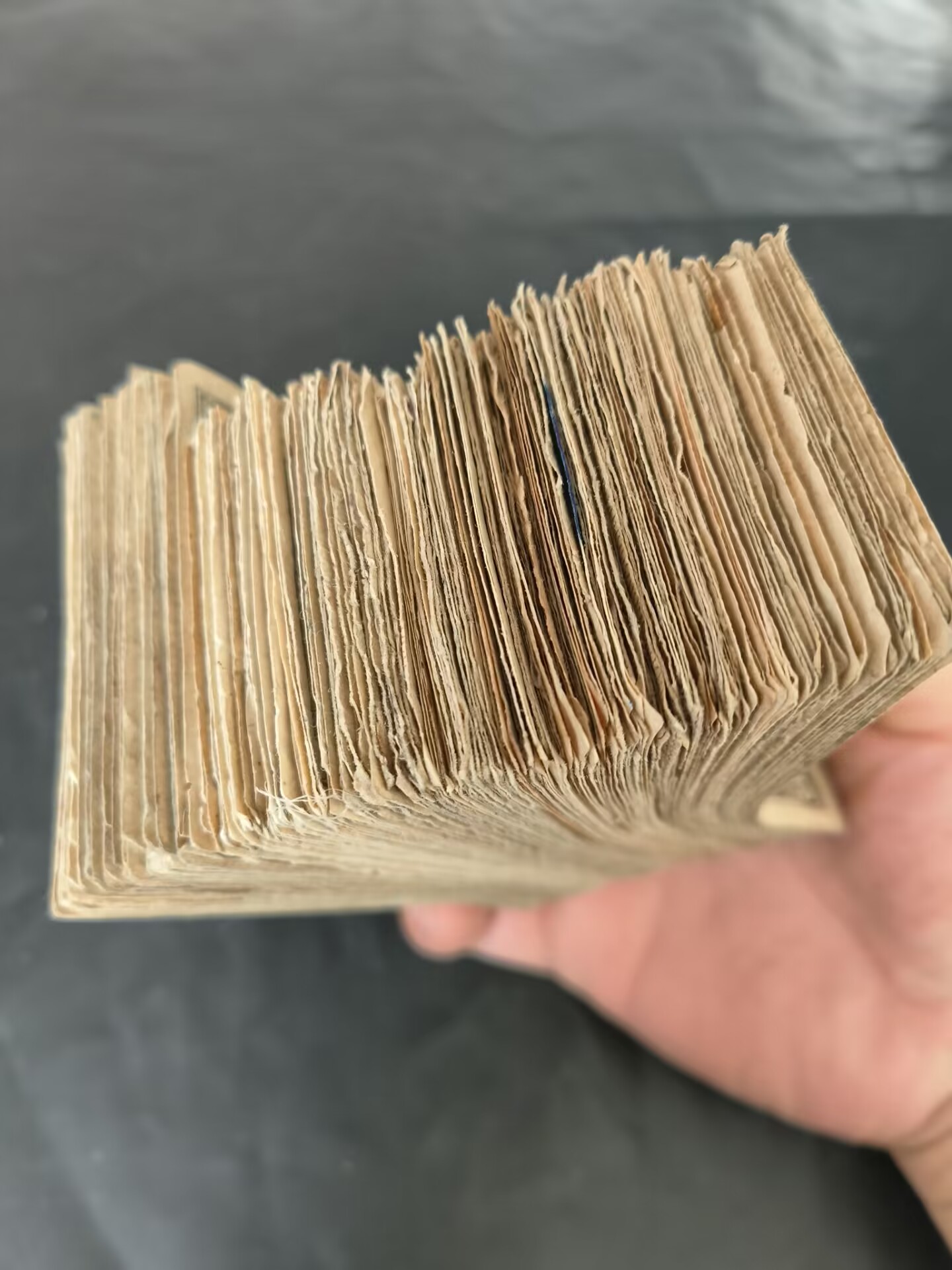 dvubb 图片点击可在新窗口打开查看