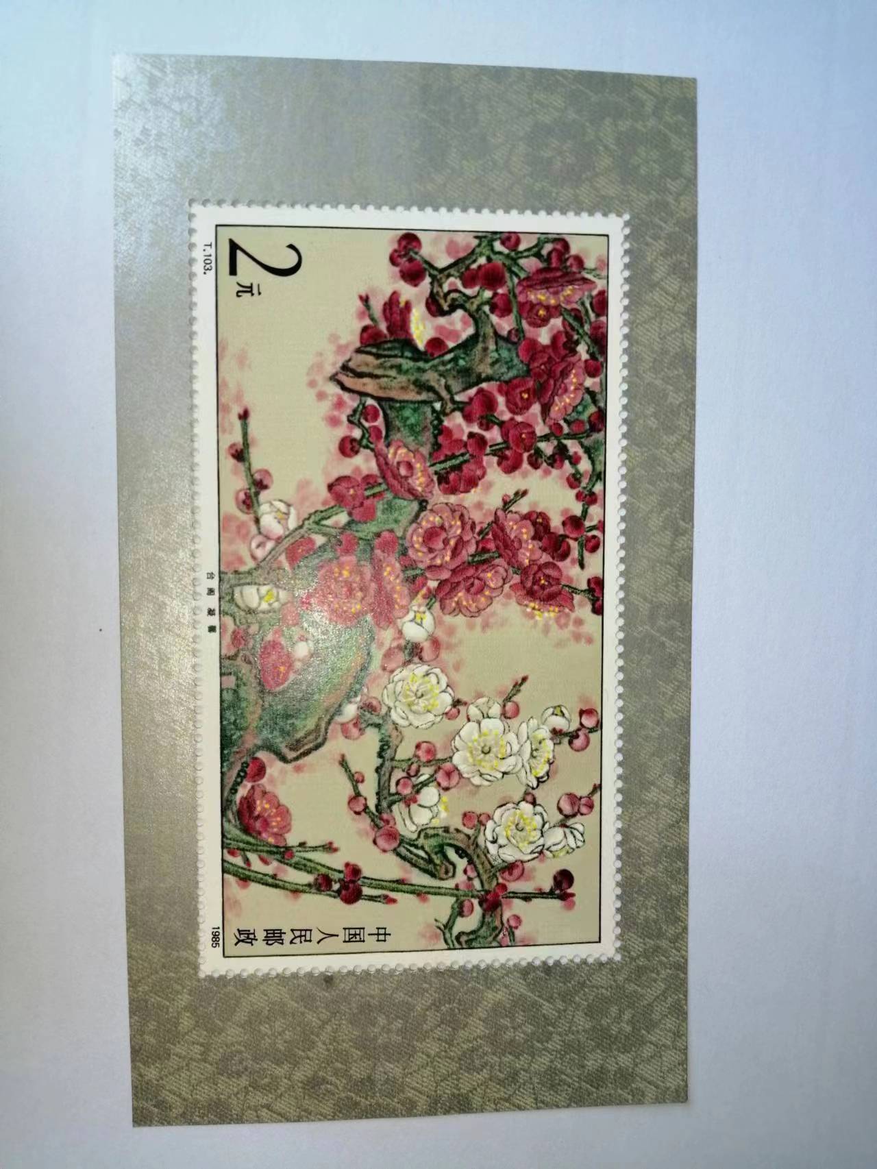 dvubb 图片点击可在新窗口打开查看