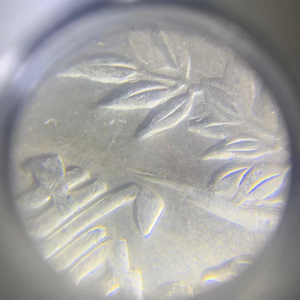 dvubb 图片点击可在新窗口打开查看