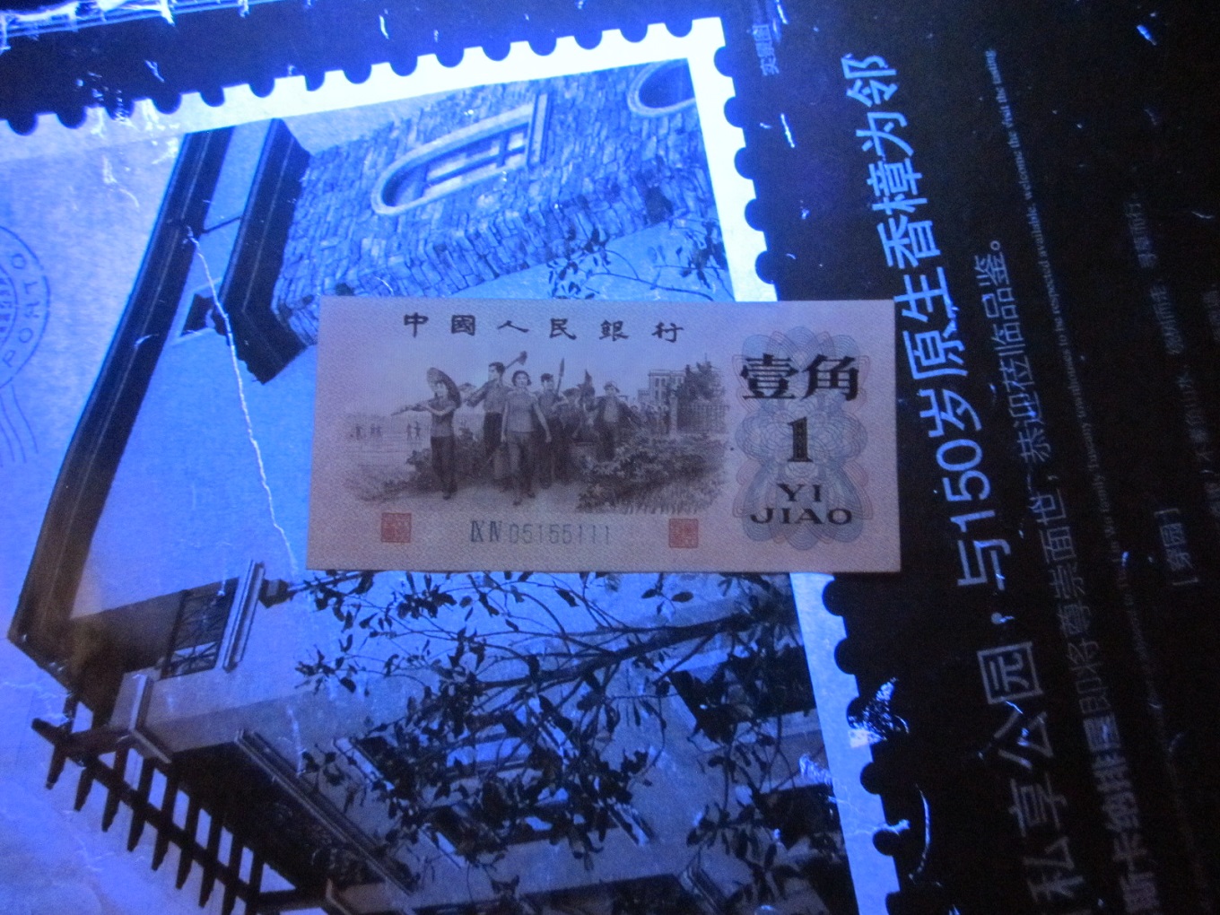 dvubb 图片点击可在新窗口打开查看