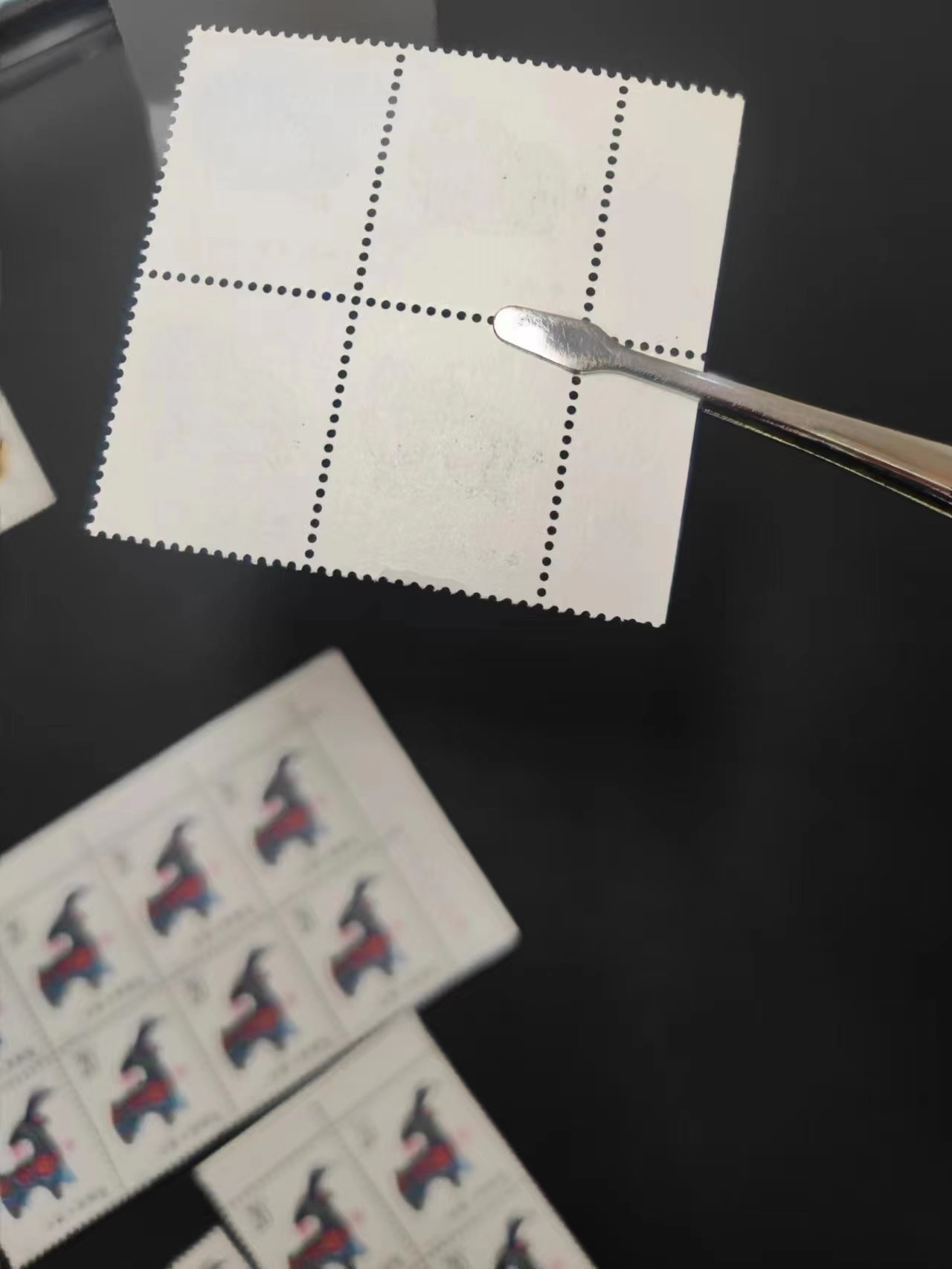 dvubb 图片点击可在新窗口打开查看