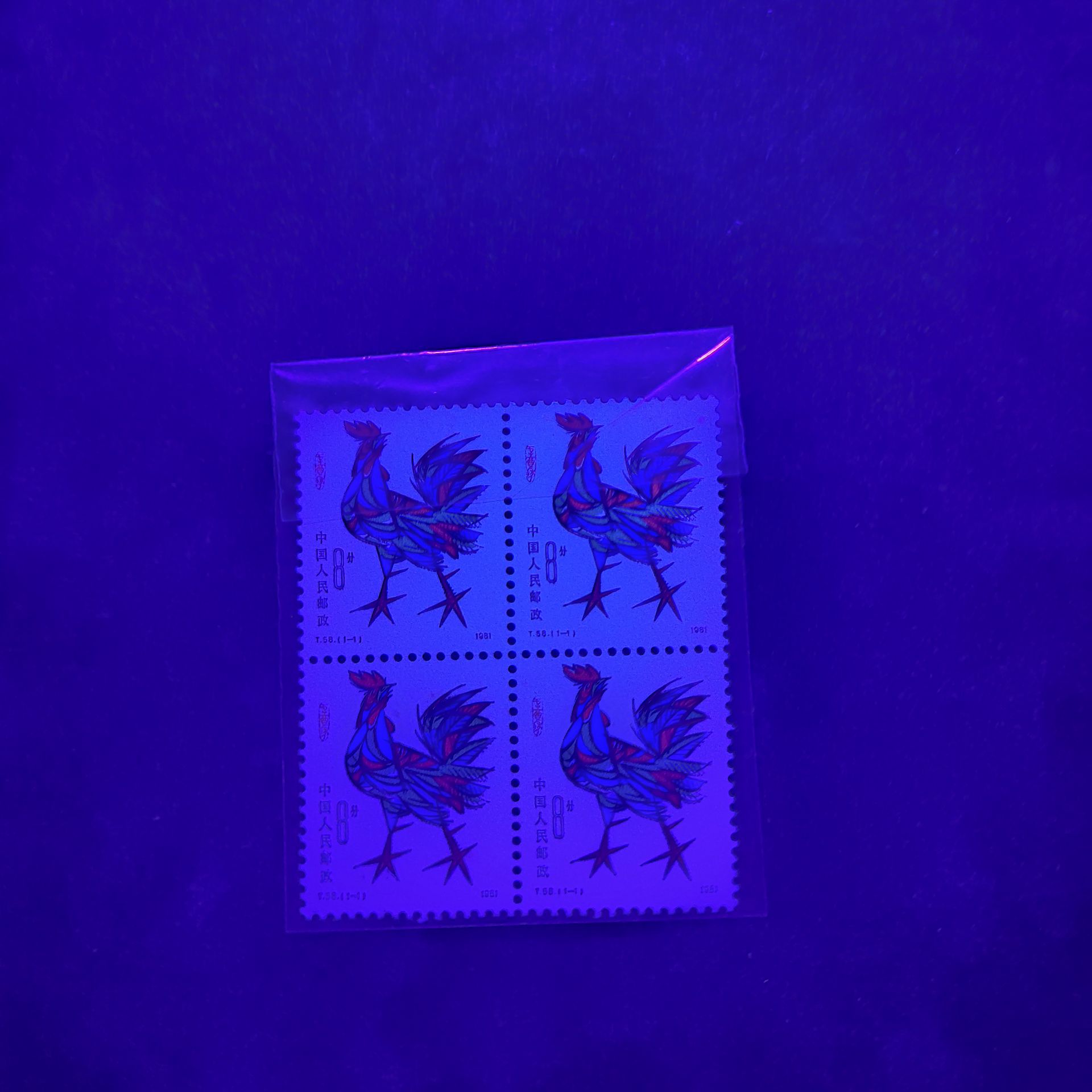 dvubb 图片点击可在新窗口打开查看