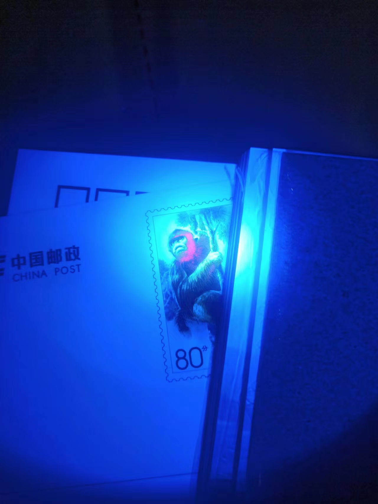 dvubb 图片点击可在新窗口打开查看
