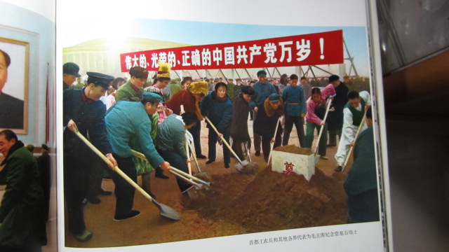 dvubb 图片点击可在新窗口打开查看