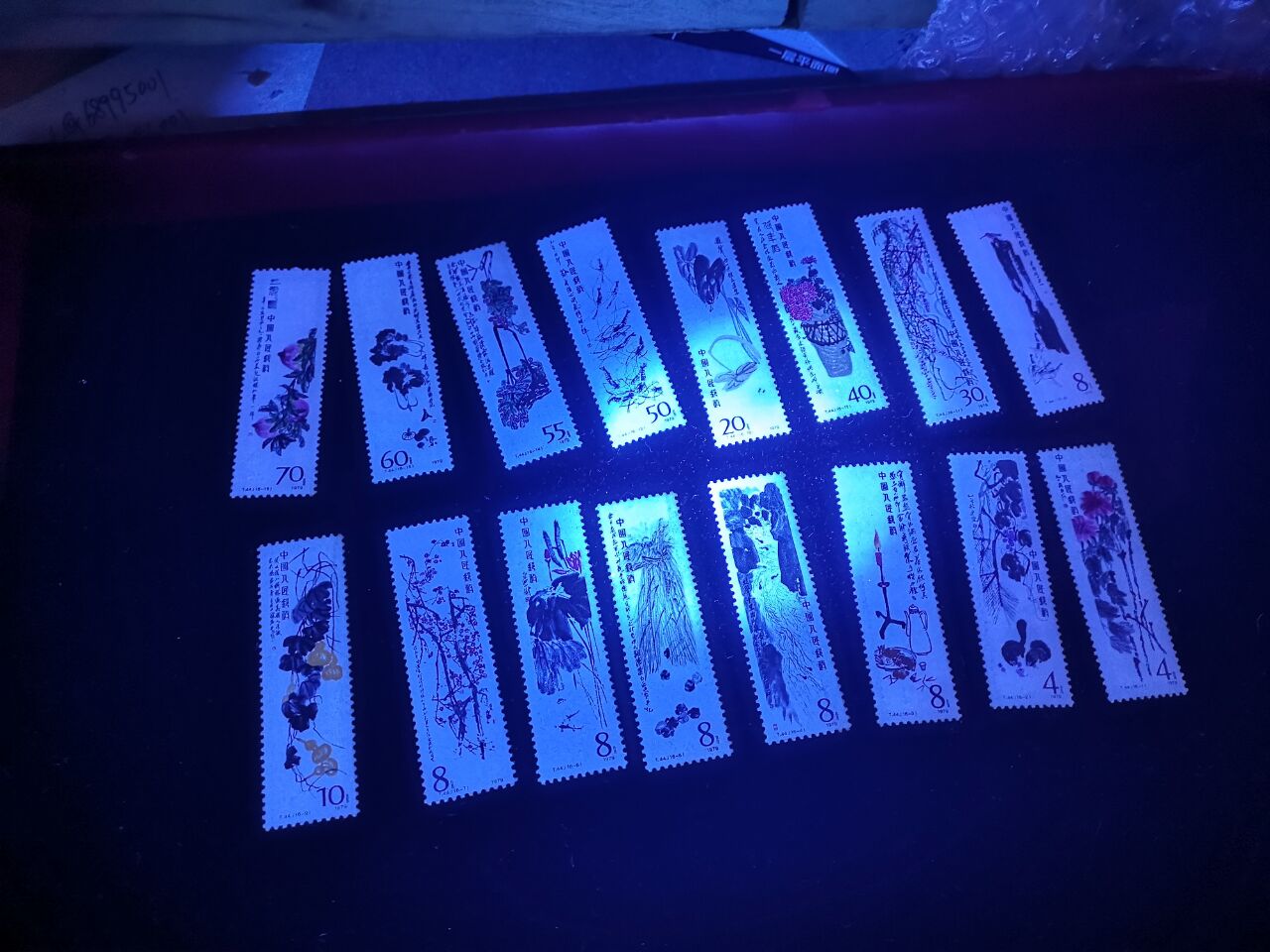 dvubb 图片点击可在新窗口打开查看