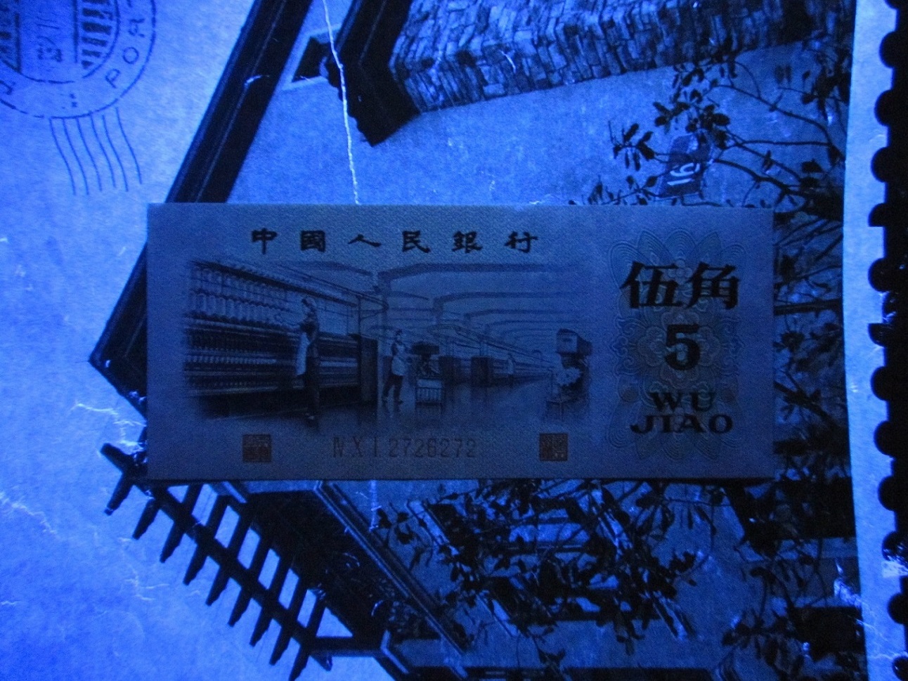 dvubb 图片点击可在新窗口打开查看