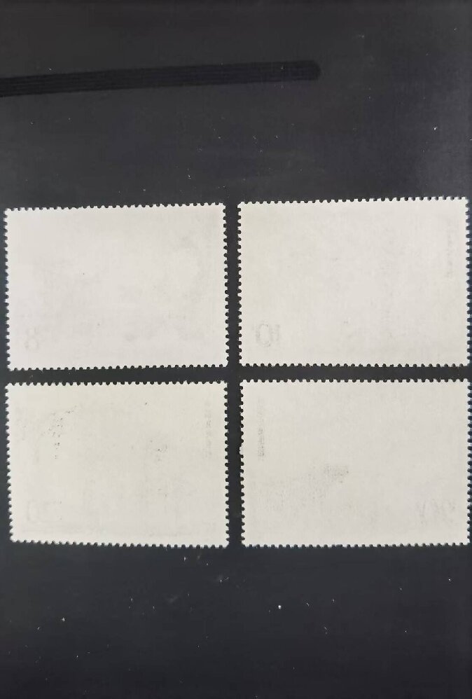 dvubb 图片点击可在新窗口打开查看