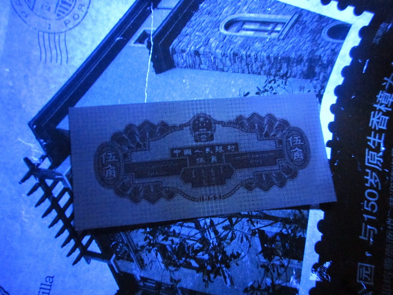 dvubb 图片点击可在新窗口打开查看