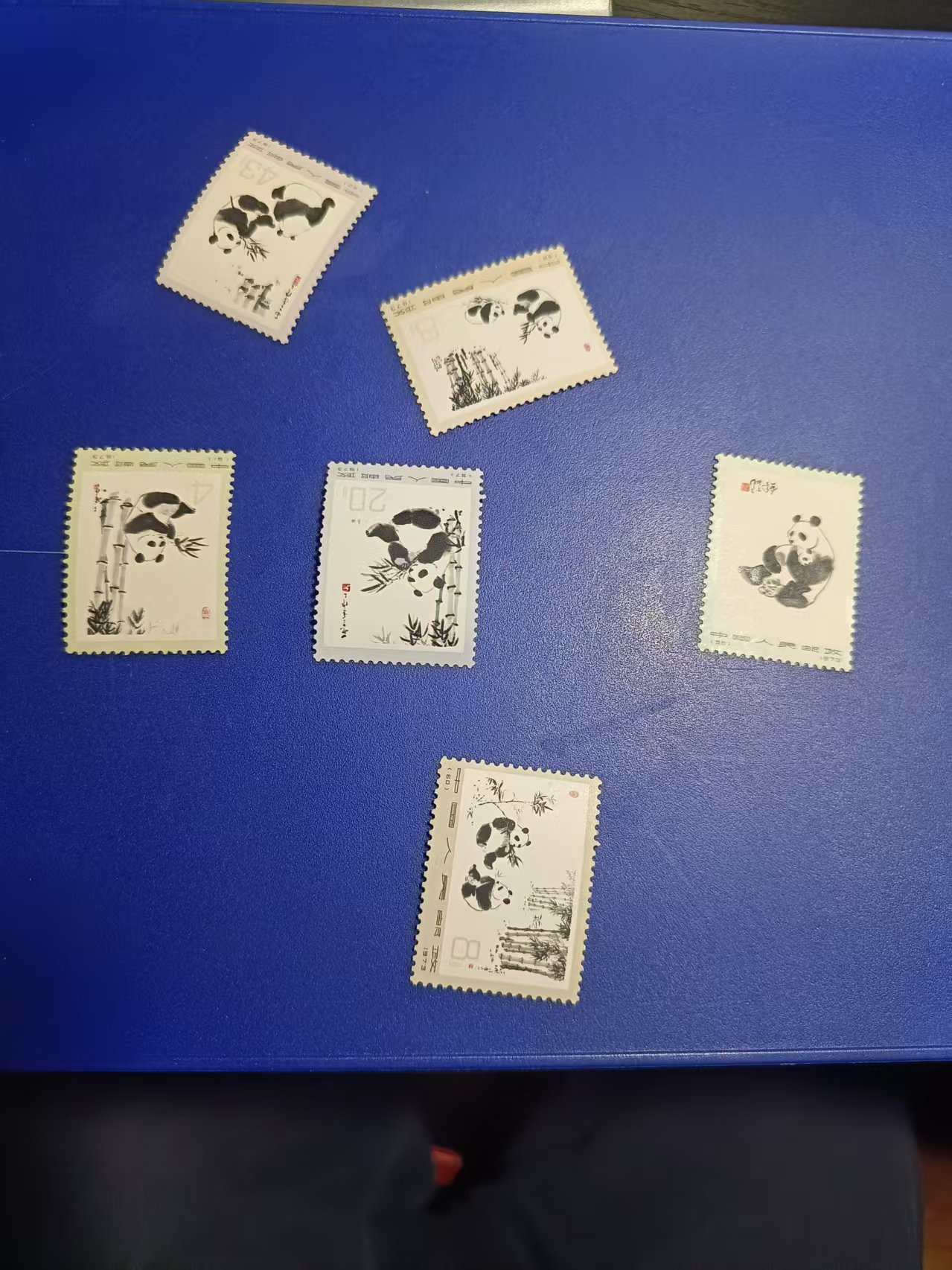 dvubb 图片点击可在新窗口打开查看