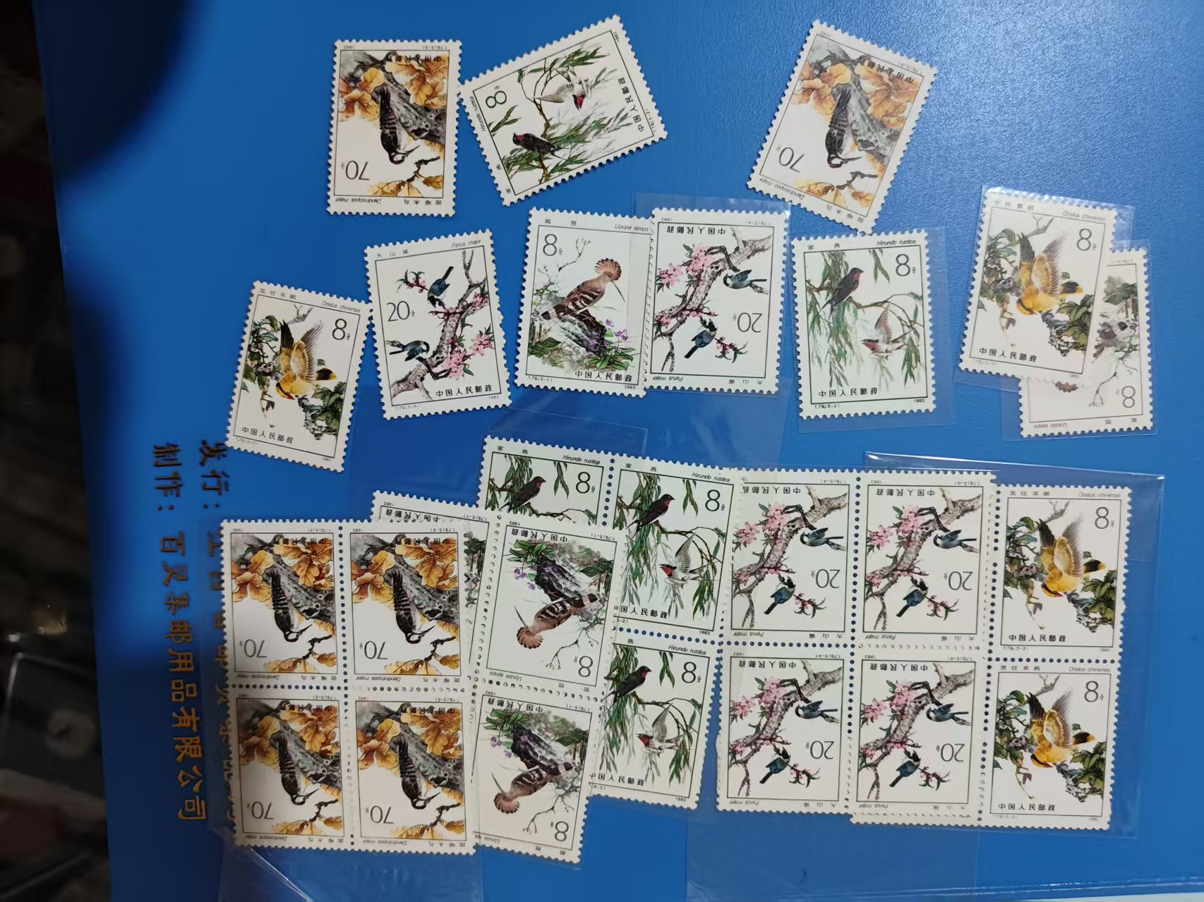 dvubb 图片点击可在新窗口打开查看