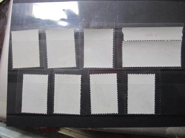 dvubb 图片点击可在新窗口打开查看