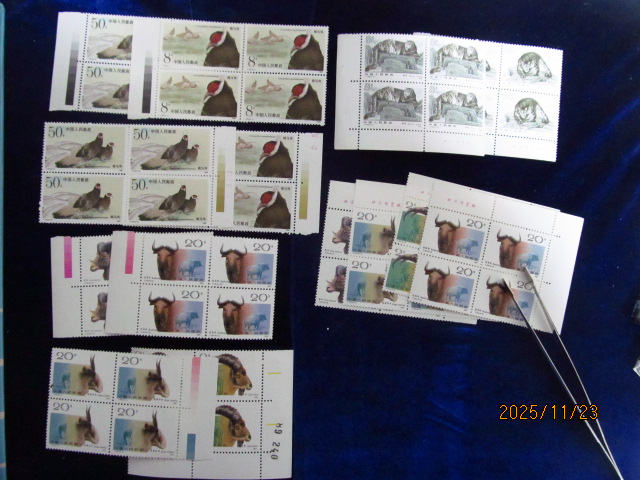 dvubb 图片点击可在新窗口打开查看