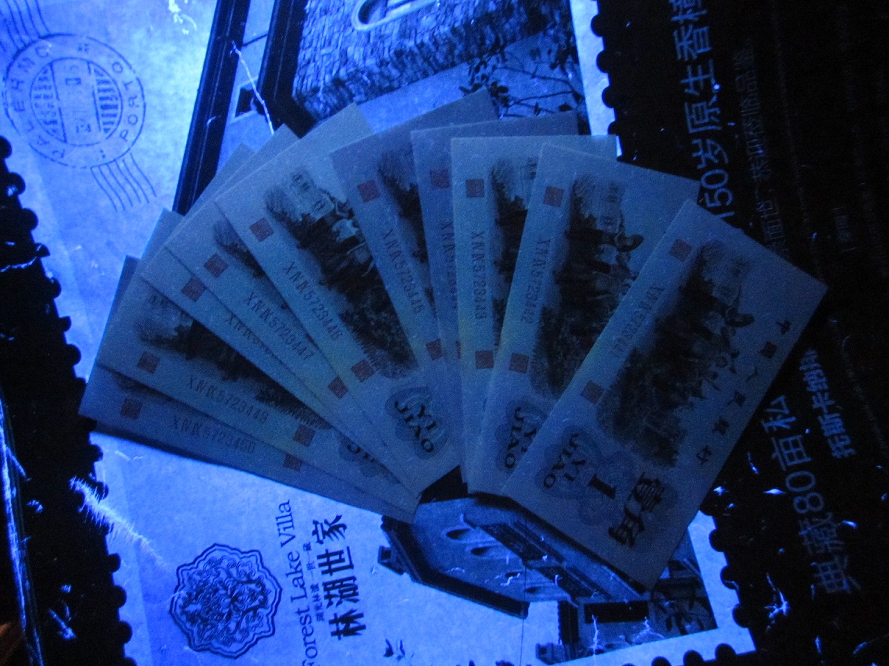 dvubb 图片点击可在新窗口打开查看