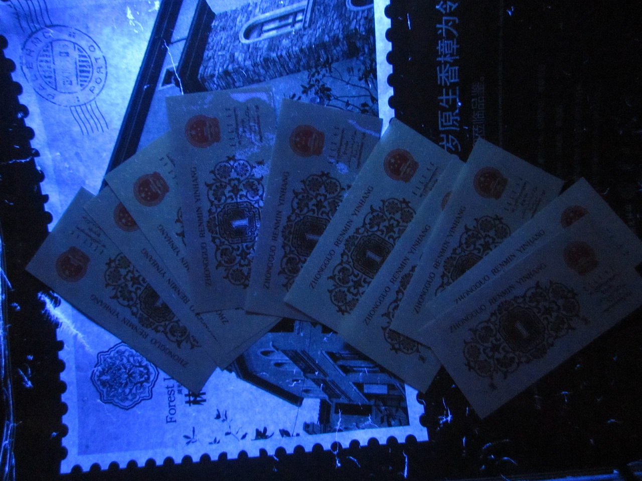 dvubb 图片点击可在新窗口打开查看