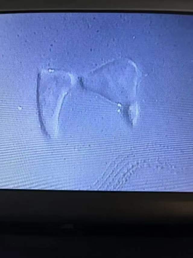 dvubb 图片点击可在新窗口打开查看