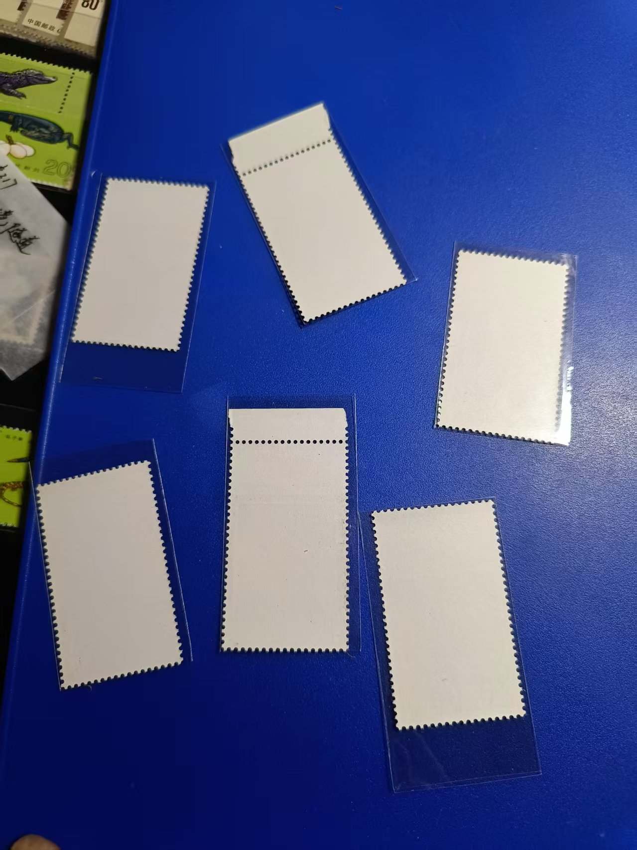 dvubb 图片点击可在新窗口打开查看