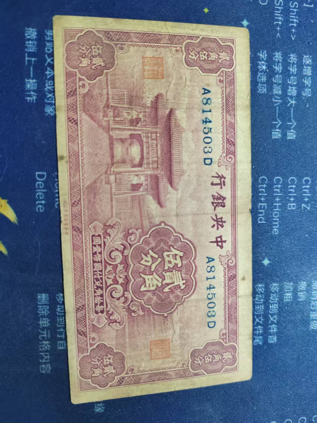 dvubb 图片点击可在新窗口打开查看