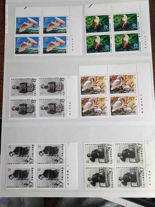 dvubb 图片点击可在新窗口打开查看