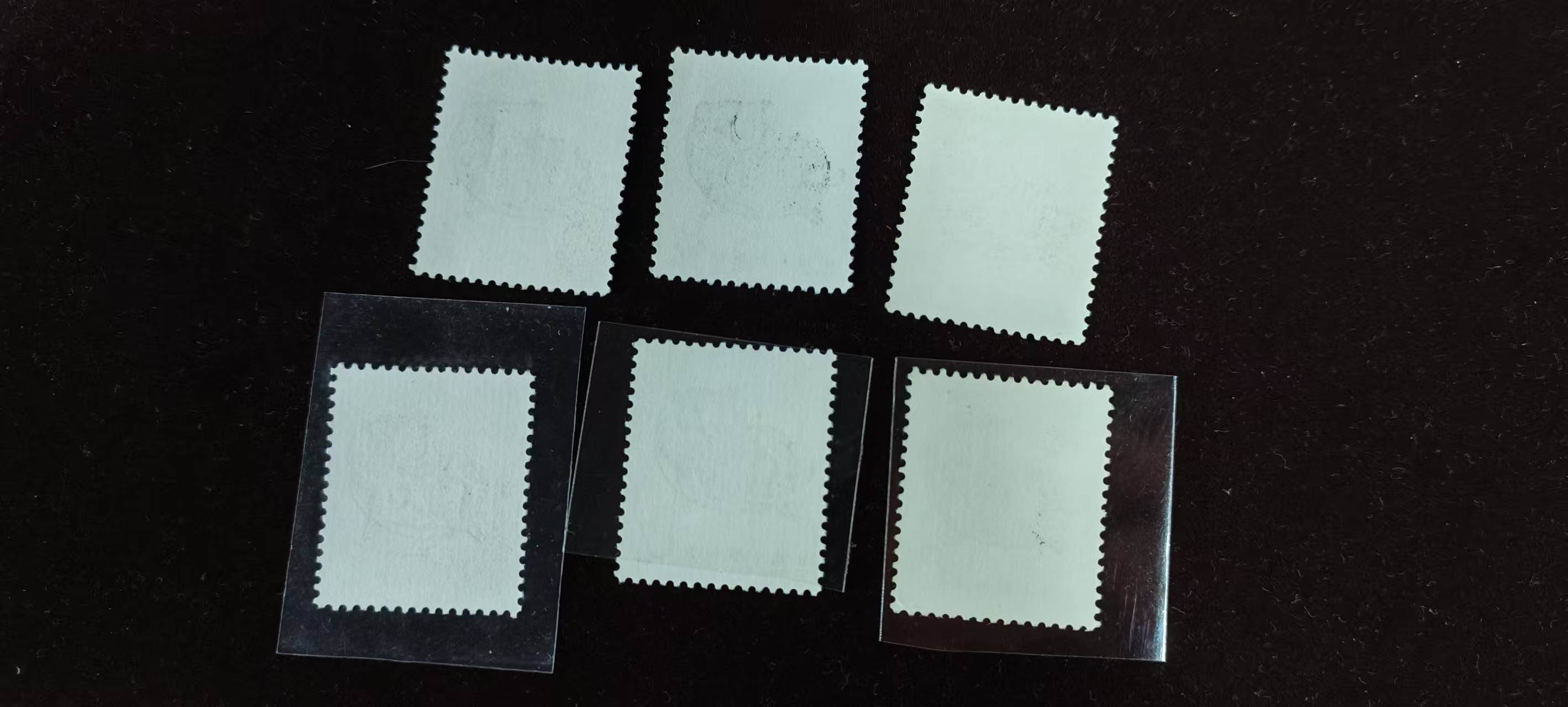 dvubb 图片点击可在新窗口打开查看