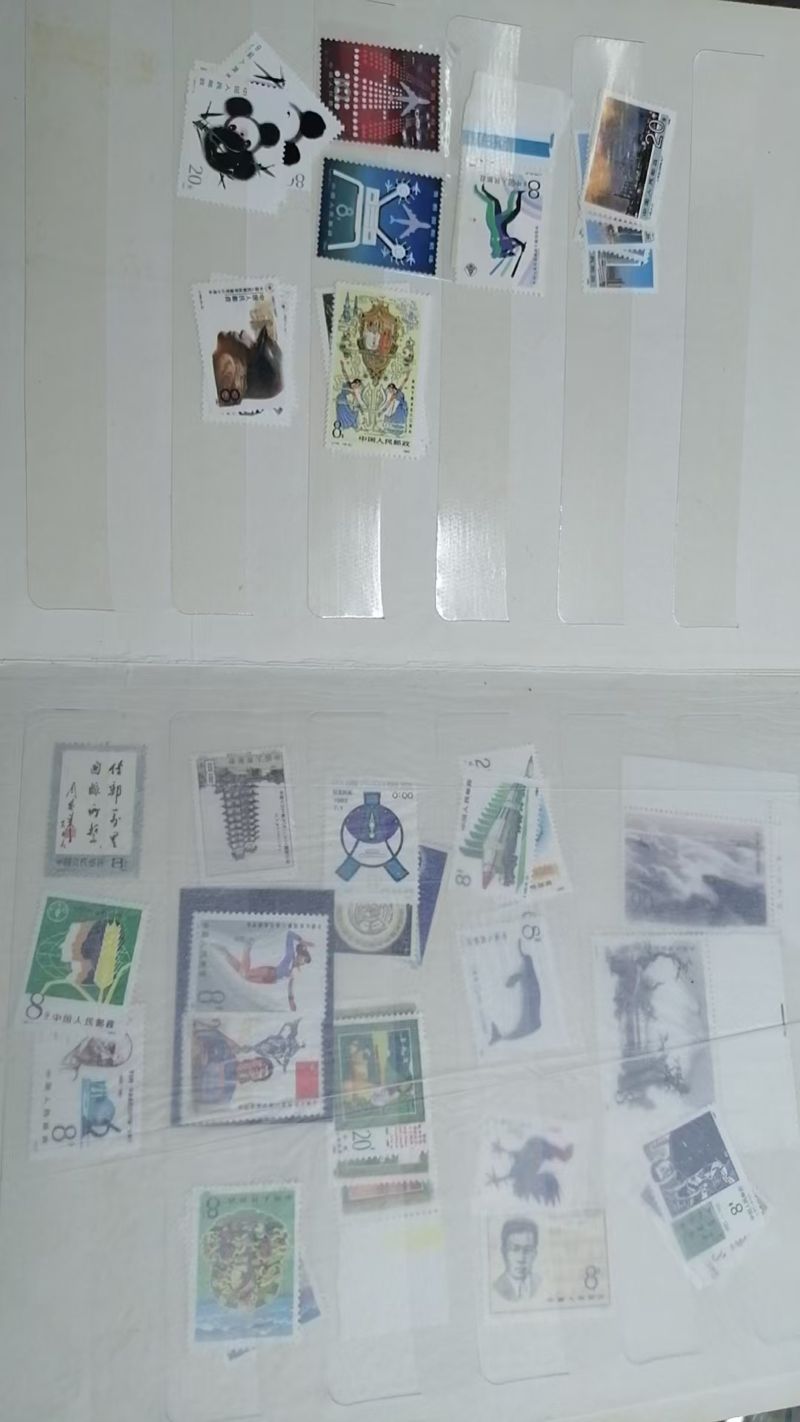 dvubb 图片点击可在新窗口打开查看