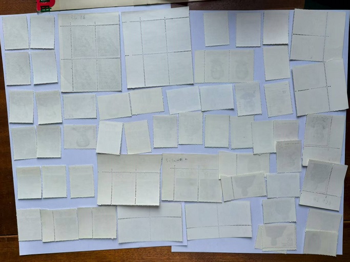 dvubb 图片点击可在新窗口打开查看